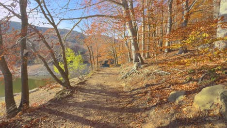 Montseny-En-Cataluña,-Otoño-Colorido-Otoño-En-El-Bosque-De-Montaña-Colores-Ocres-Rojos-Naranjas-Y-Amarillos-Hojas-Secas-Bellas-Imágenes-Naturaleza-Sin-Gente-Montseny-En-Cataluña,-Otoño