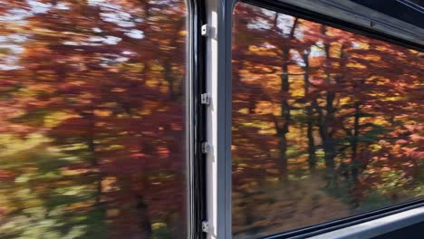 video captures vibrant autumn foliage through a train window, creating a dynamic, colorful blur