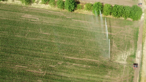 aerial view of irrigated farmland