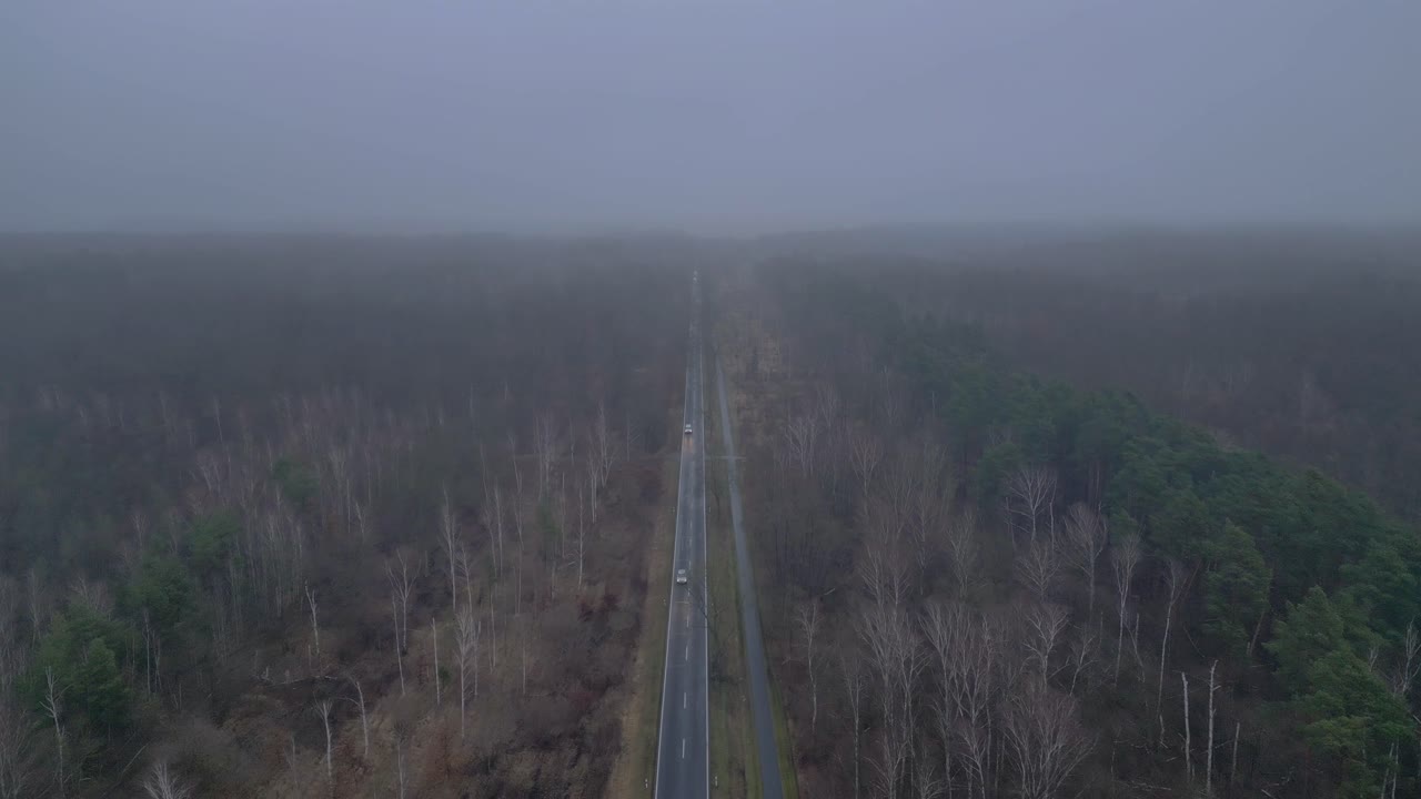 겨울에 안개와 함께 숲을 가로지르는 직선 도로. 놀라운 공중 전망 비행 드론을 끌어