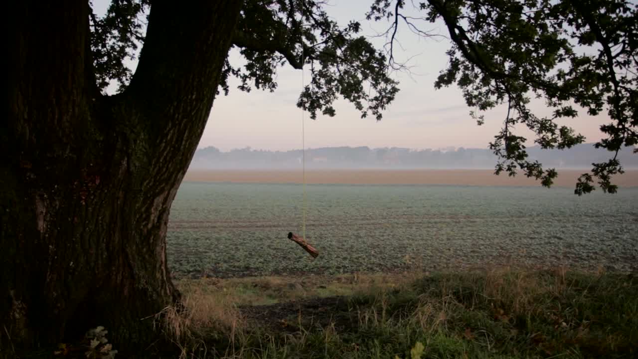un columpio atado a un viejo roble por los hermosos campos de la granja de zlotoryja, polonia en una mañana brumosa - toma amplia
