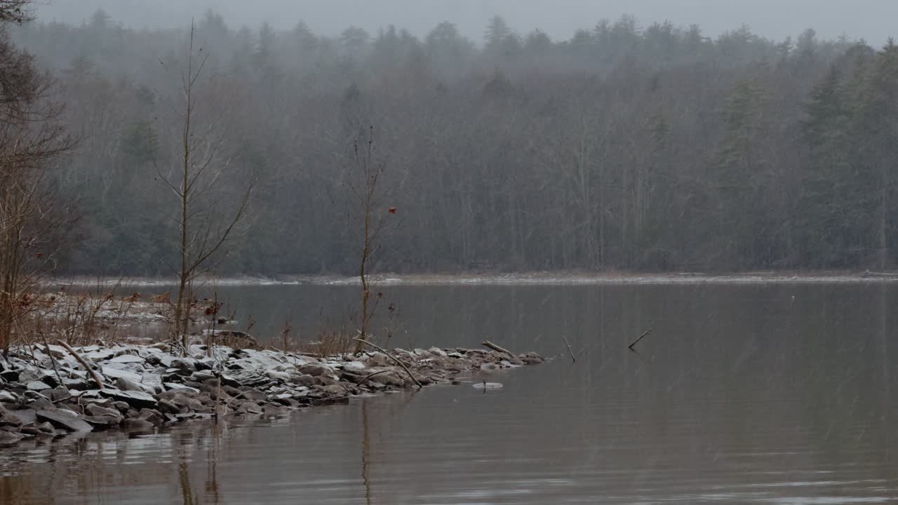 산의 호수 위에 있는 아름다운 숲 속 깊은 곳에서 거대한 눈 폭풍이 시작됩니다.