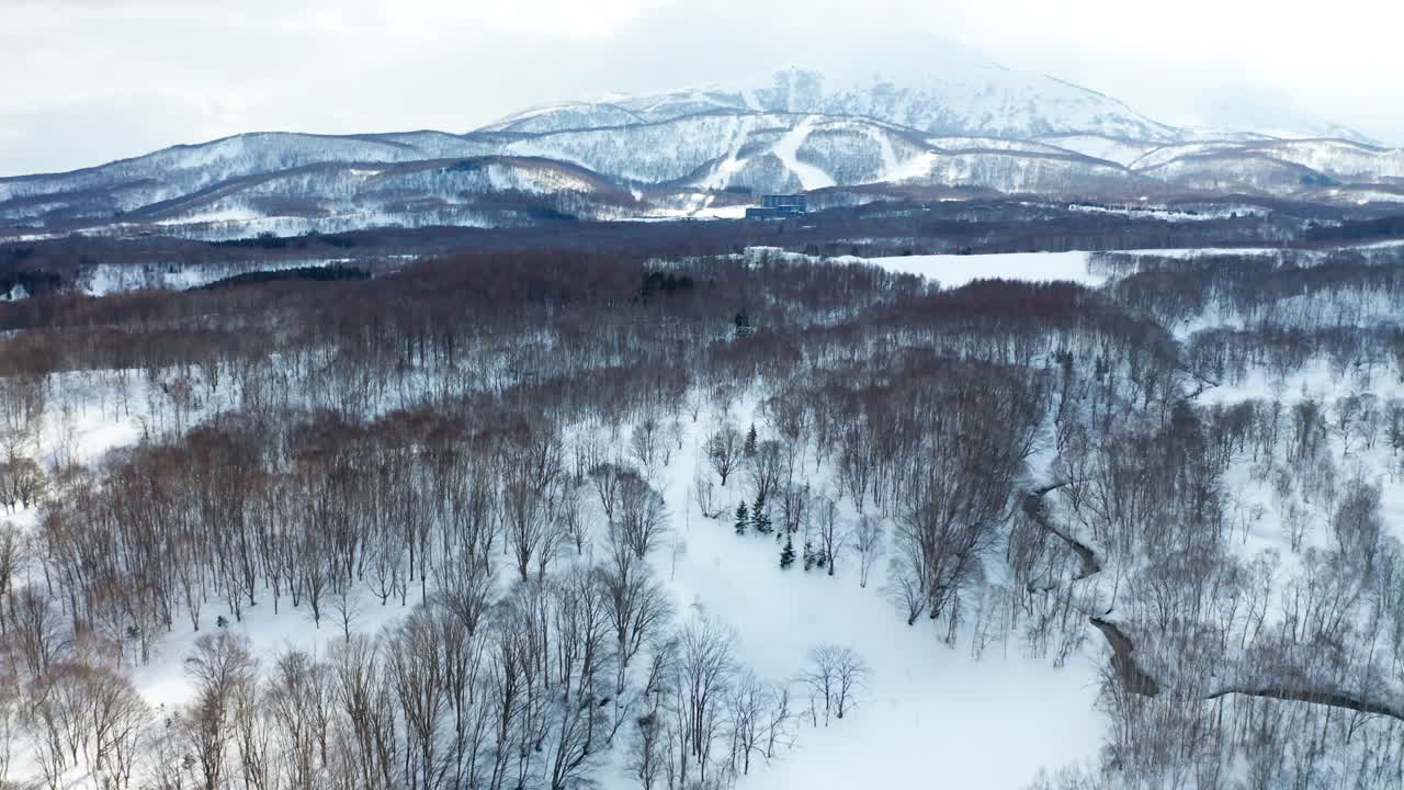 니세코의 아름다운 겨울