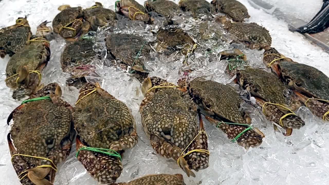 Live crabs displayed for sale with their legs and claws tied to prevent escape. Placed on ice to maintain freshness and quality.