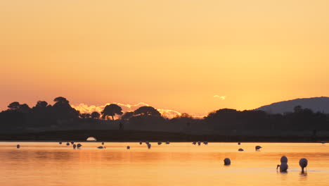 beautiful colourful sunset over a pond with pink flamingos and people running