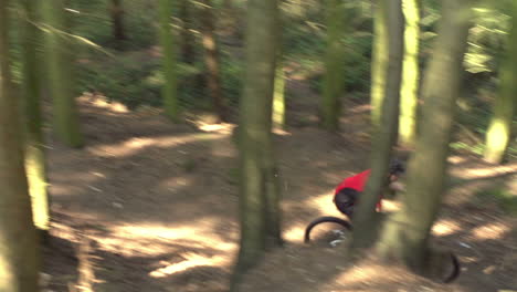 slow motion shot of man riding mountain bike through woods