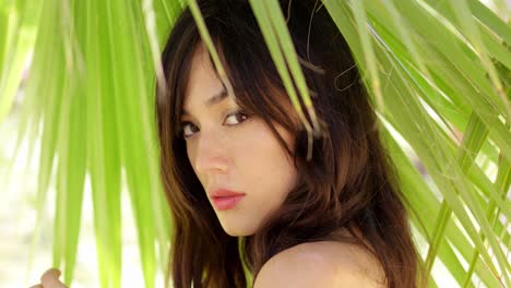 calm young woman in shade of palm leaves