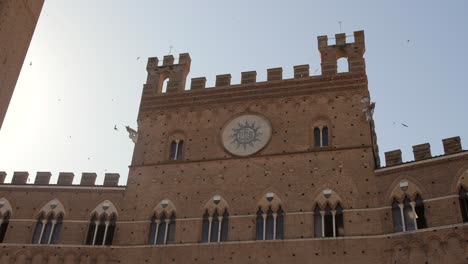 Siena-Rathaus-Palazzo-Publico-Am-Frühen-Morgen,-Herumfliegende-Vögel,-Sonnenaufgang