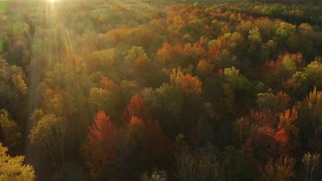 Antenne,-Sonnenstrahlen-über-Wälder-Mit-Buntem-Herbstlaub,-Sockel-Nach-Oben,-Nach-Unten-Geneigt