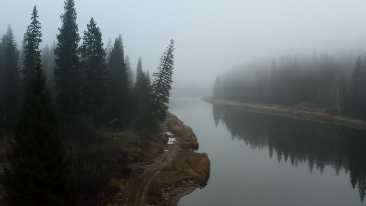 Misty Forest River Scene