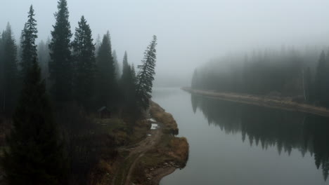 misty forest river scene