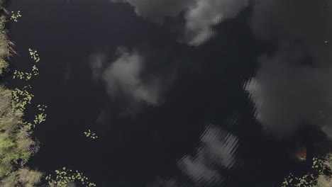 vertical aerial of clouds reflected from black water bayou in florida