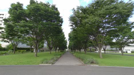 tokyo rinkai disaster prevention park