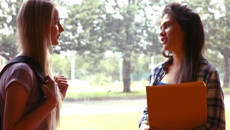 dos estudiantes hablando entre sí
