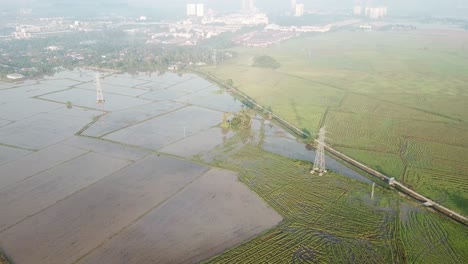Aerial-fly-over-the-paddy-field-with-half-flooded-with-water