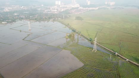 aerial fly over the paddy field with half flooded with water