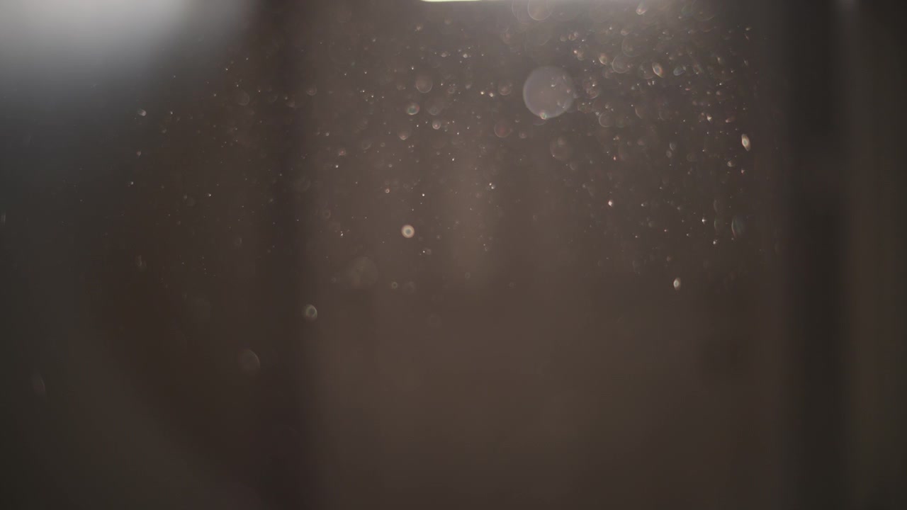 Dusty particles floating in the sunlight