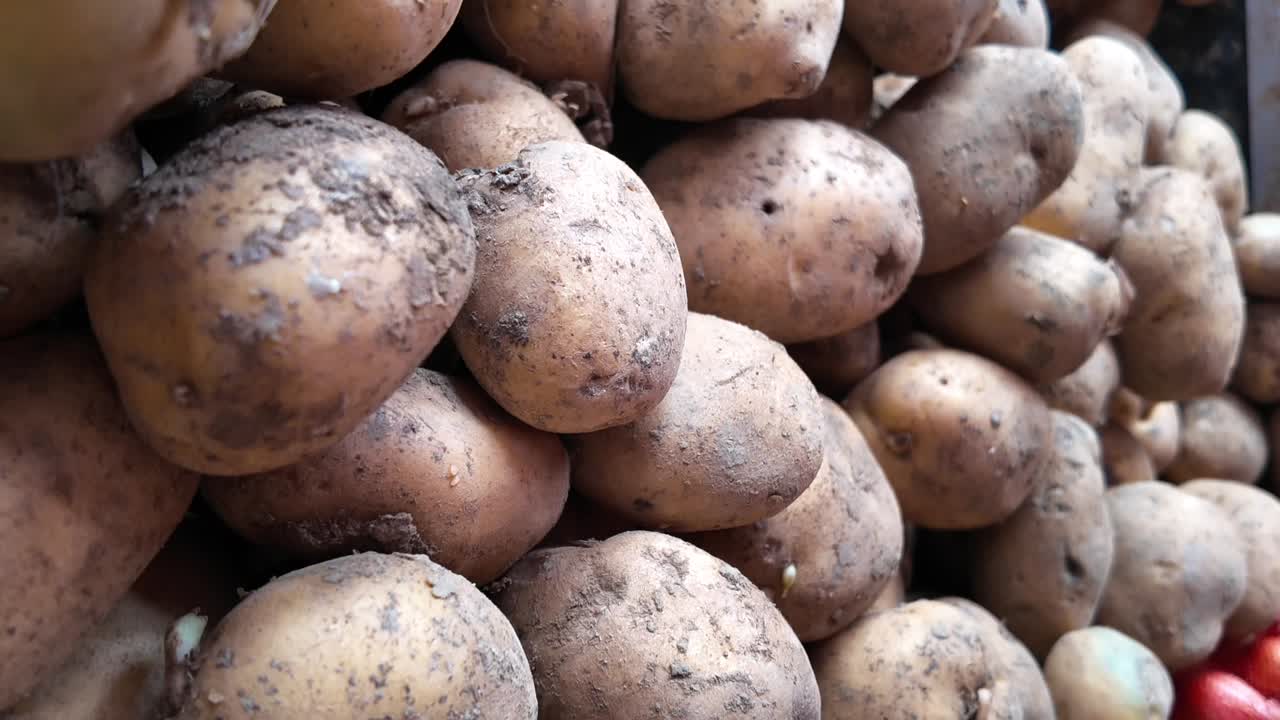 Pile of Fresh Potatoes