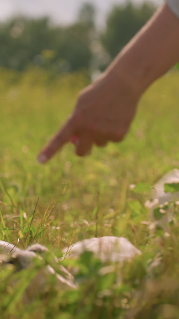 은 날 잔디에서 개와 함께 야외에서 놀고있는 사람, 개와 함께 지상에서 행복하게 굴러, 혀를 펴고, 울창한 초록색으로 둘러싸여, 개는 기해 보입니다.