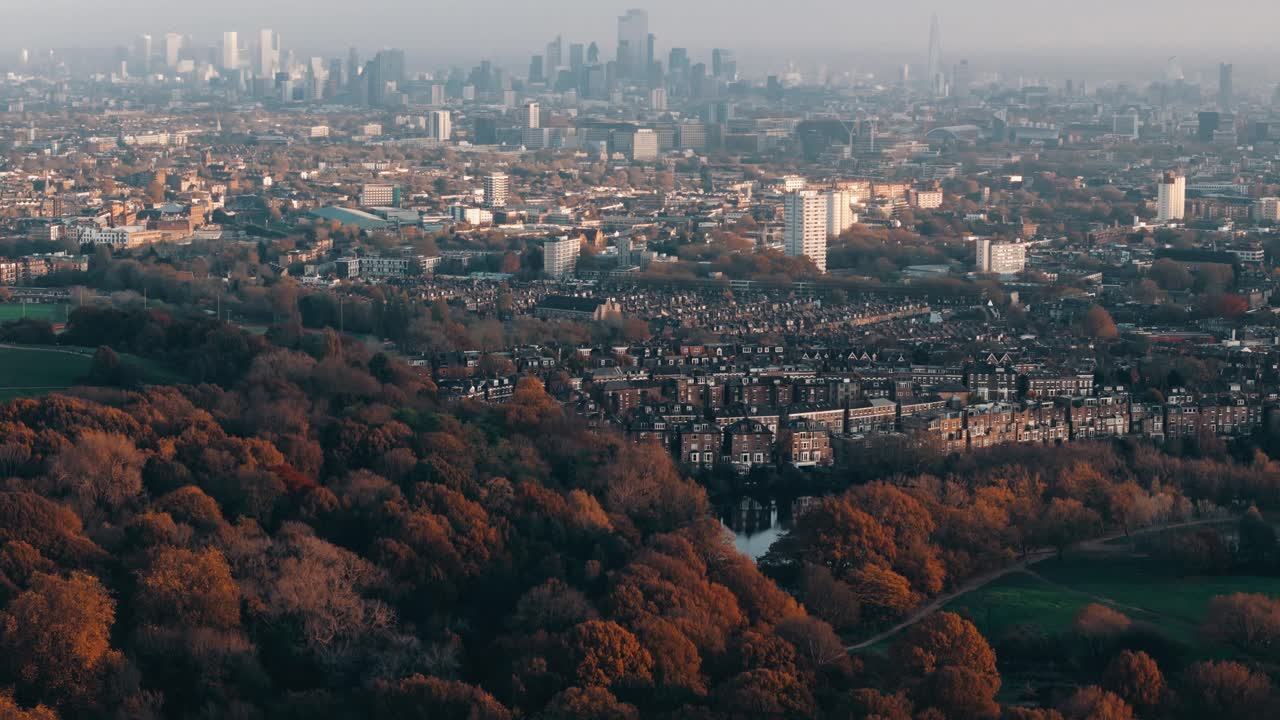 Circular drone move panning up over Hampstead Heath trees with varied fall tones, establishing autumn foliage and urban dense backdrop