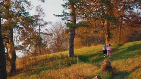 friends having scamper in the forest. young guy and girl are running in the morning in nature. young people run at sunset. rear view.