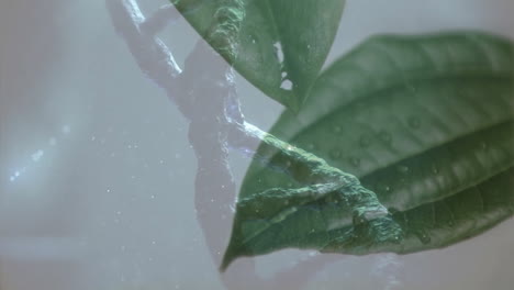 animation of chromosomes and dna strand over leaves on white background