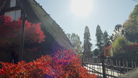 stunning cinematic scenery over straw roof houses in japan during autumn colors