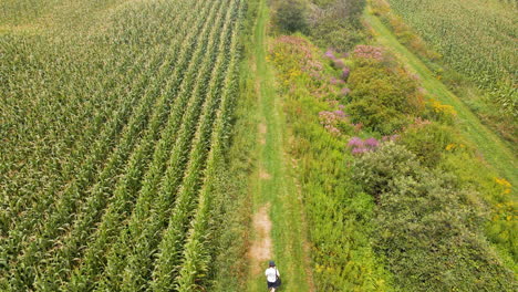 Levantamiento-De-Una-Grúa-Aérea-Disparada-En-Una-Granja-De-Nueva-Inglaterra-Con-Un-Hombre-Caminando-En-El-Camino