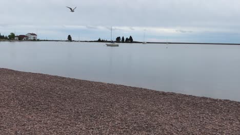 Seagulls-in-flight,-Lake-Superior,-Minnesota