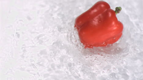 Pepper-turning-in-water-in-super-slow-motion