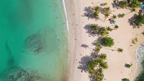 foto de la idílica costa de la playa de ermitaño en samaná, república dominicana