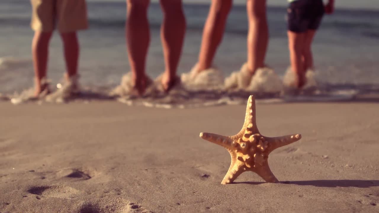 un primer plano de una estrella de mar en la playa