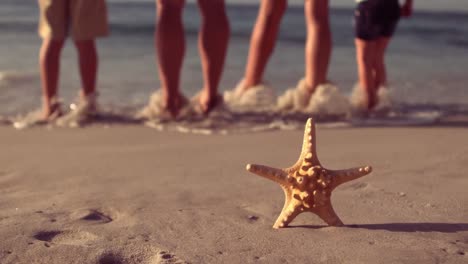 Close-up-of-a-starfish-on-the-beach