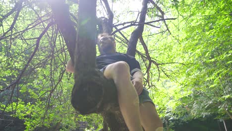 young man sleeping on the tree.