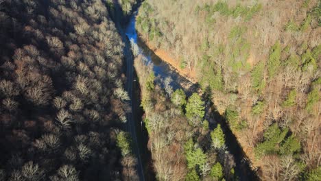 A-remote-woodland-road-and-stream-with-hills-and-mountains-during-late-fall-with-bare-trees-and-pine-trees-on-a-sunny-day