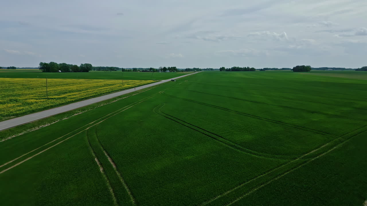 Aerial-Wide shot of green flat fields on bright day