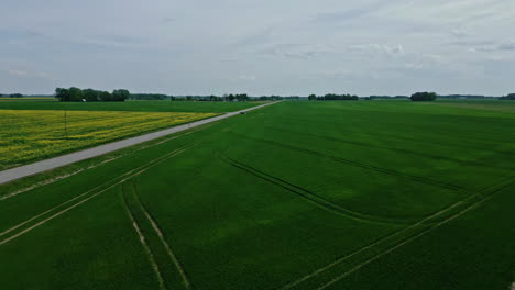 Aerial-Wide-shot-of-green-flat-fields-on-bright-day