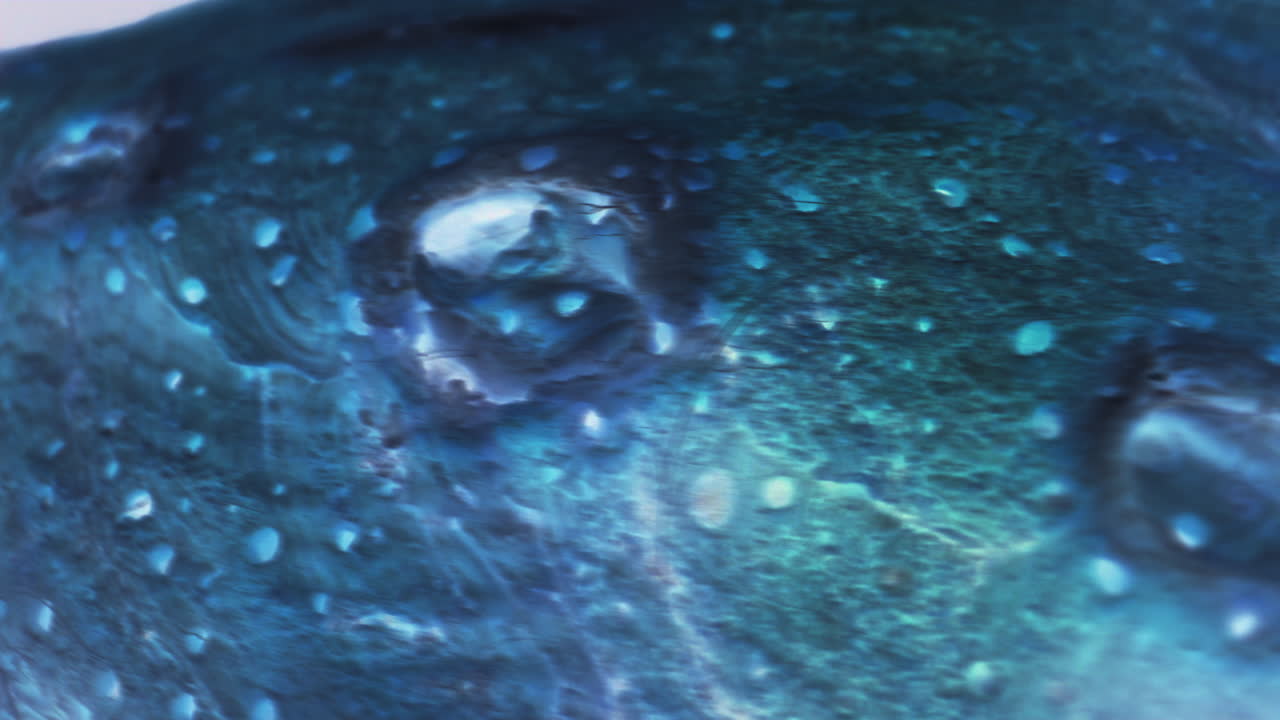 vista de cerca de una superficie con textura