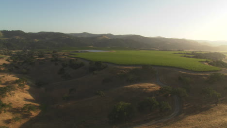 Antena-De-Helicóptero-De-Un-Viñedo-En-El-Valle-De-Santa-Maria-California-1