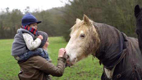 mother and child stroking horse on walk shot on r3d