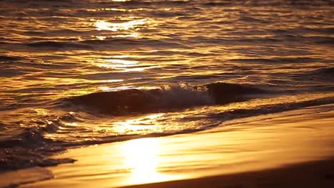 waves golden hour crashing on to shore