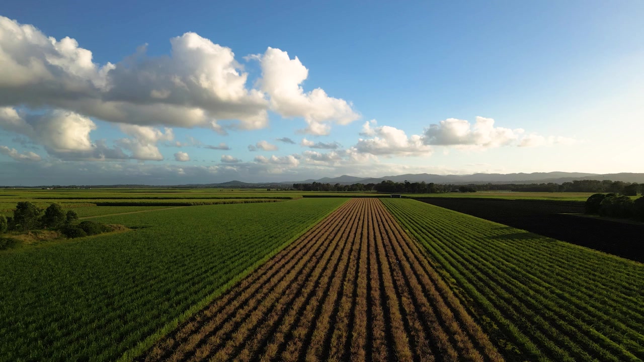Forward moving aerial views over sugar cane farms in afternoon light in South East Queensland, Australia