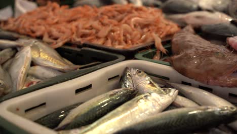 different fished ready to be sell in the market in croatia