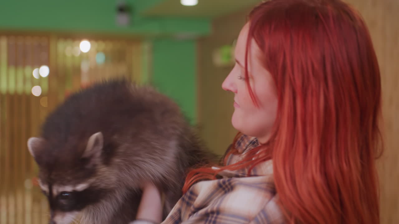 Mulher caucasiana ruiva abraçando um guaxinim em um aconchegante café verde para animais de estimação, camisa xadrez, paredes de madeira, luzes suaves e quentes, carinho delicado, pelo macio, voluntária de resgate demonstrando confiança e afeto, close-up intimista