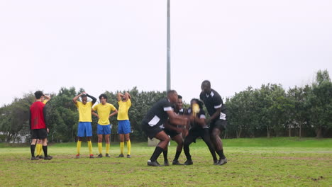 celebrating victory, soccer team in black uniforms holding trophy on field