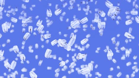 volando muchos dientes blancos sobre un fondo azul. concepto de cuidado dental. animación 3d de la rotación de los dientes. animación de bucle.