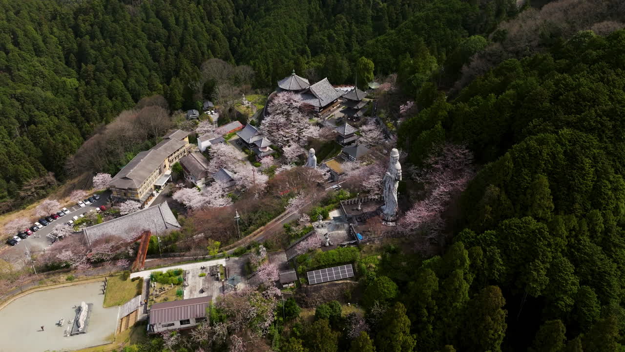 Aerial View Of Tsubosakadera Buddhist Temple With Cherry Blossoms In Spring In Takatori, Nara, Japan