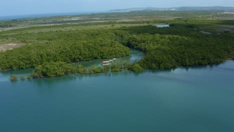 tilt down aerial drone shot of locals enjoying a small secluded natural turquoise pool with thatch umbrella's branching from the curimataú river near barra de cunhaú in rio grande do norte, brazil