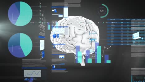 animación del procesamiento de datos sobre el icono del cerebro humano giratorio contra un fondo negro.
