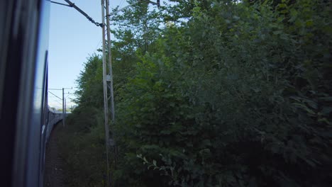 vista desde un tren: arbustos, árboles, campo tranquilo